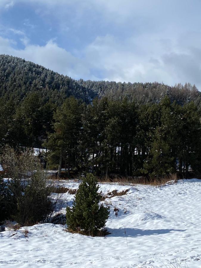 Chalet Au Pieds Des Pistes Le Cambre Aze Bolquere Pyrenees 2000 Dış mekan fotoğraf